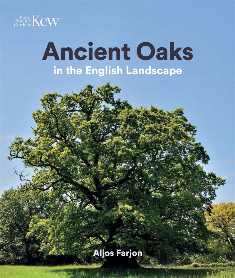 Ancient Oaks in the English landscape/Product Detail/Animals & Nature