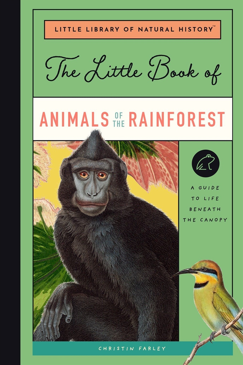 Little Book of Animals of the Rainforest/Product Detail/Childrens