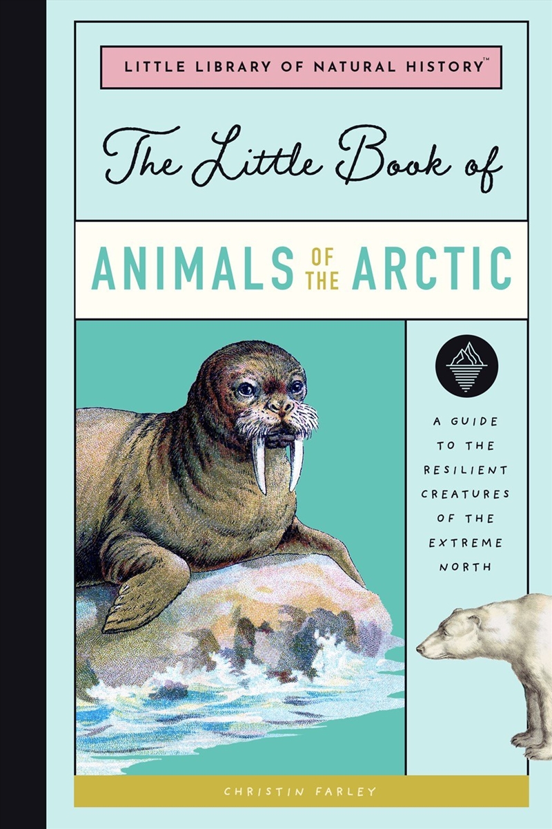 Little Book of Arctic Animals/Product Detail/Childrens