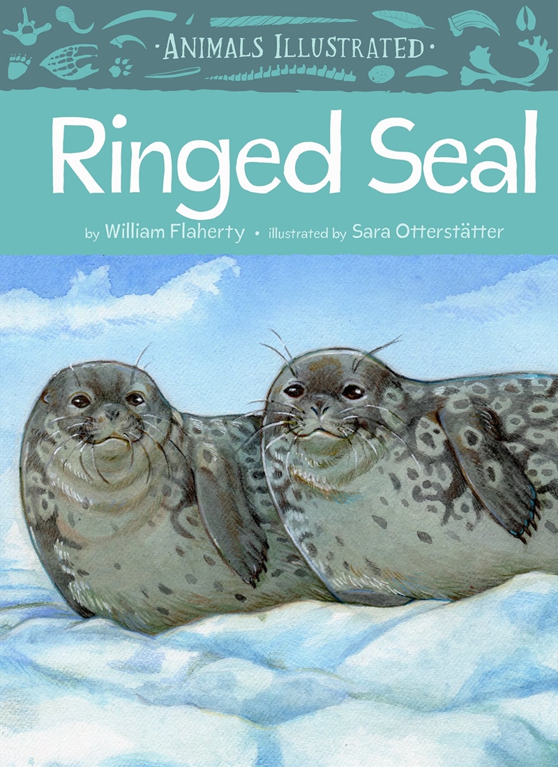 Animals Illustrated: Ringed Seal/Product Detail/Childrens