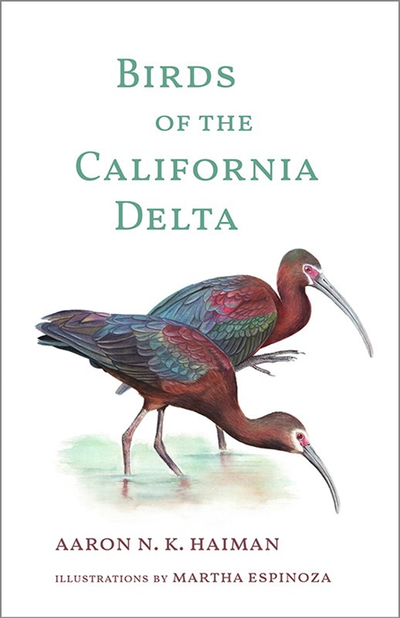 Birds Of The California Delta/Product Detail/Animals & Nature