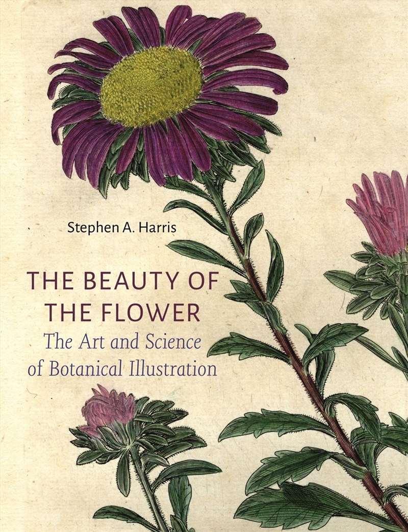 The Beauty of the Flower/Product Detail/Reading