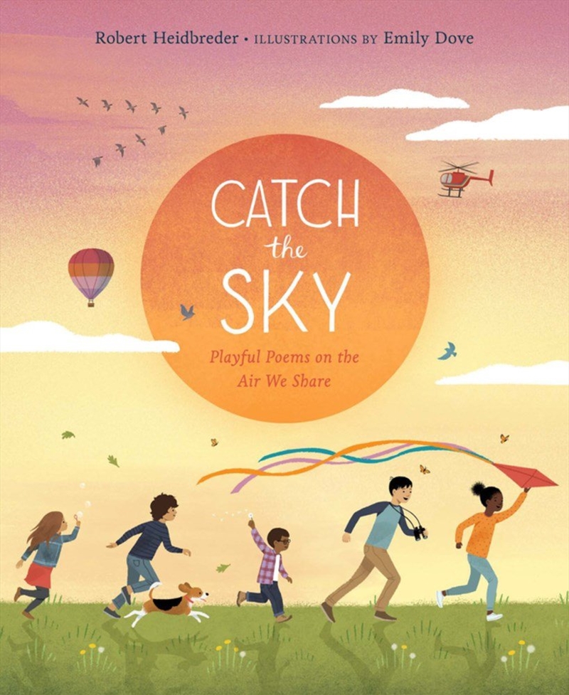 Catch the Sky/Product Detail/Childrens Fiction Books
