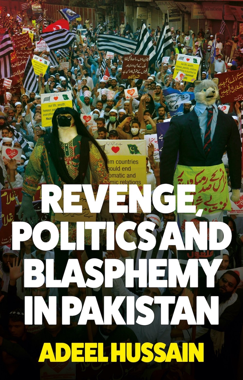 Revenge, Politics and Blasphemy in Pakistan/Product Detail/Politics & Government