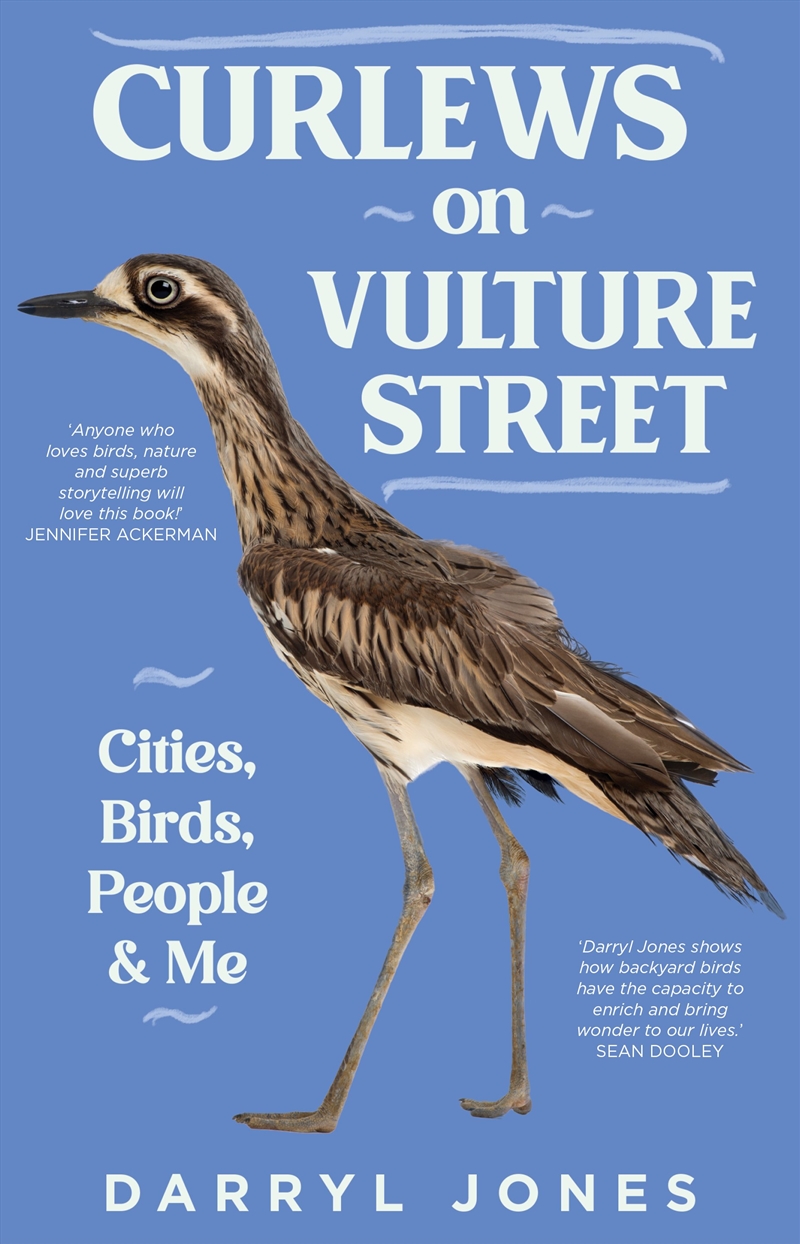 Curlews on Vulture Street/Product Detail/Animals & Nature