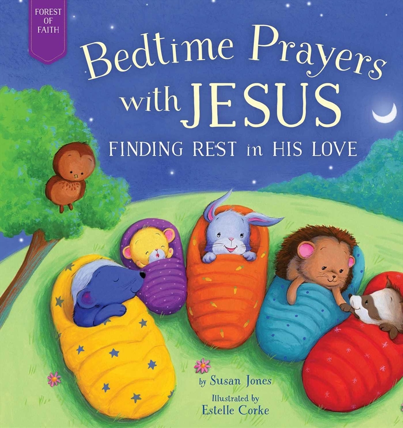 Bedtime Prayers with Jesus/Product Detail/Childrens Fiction Books