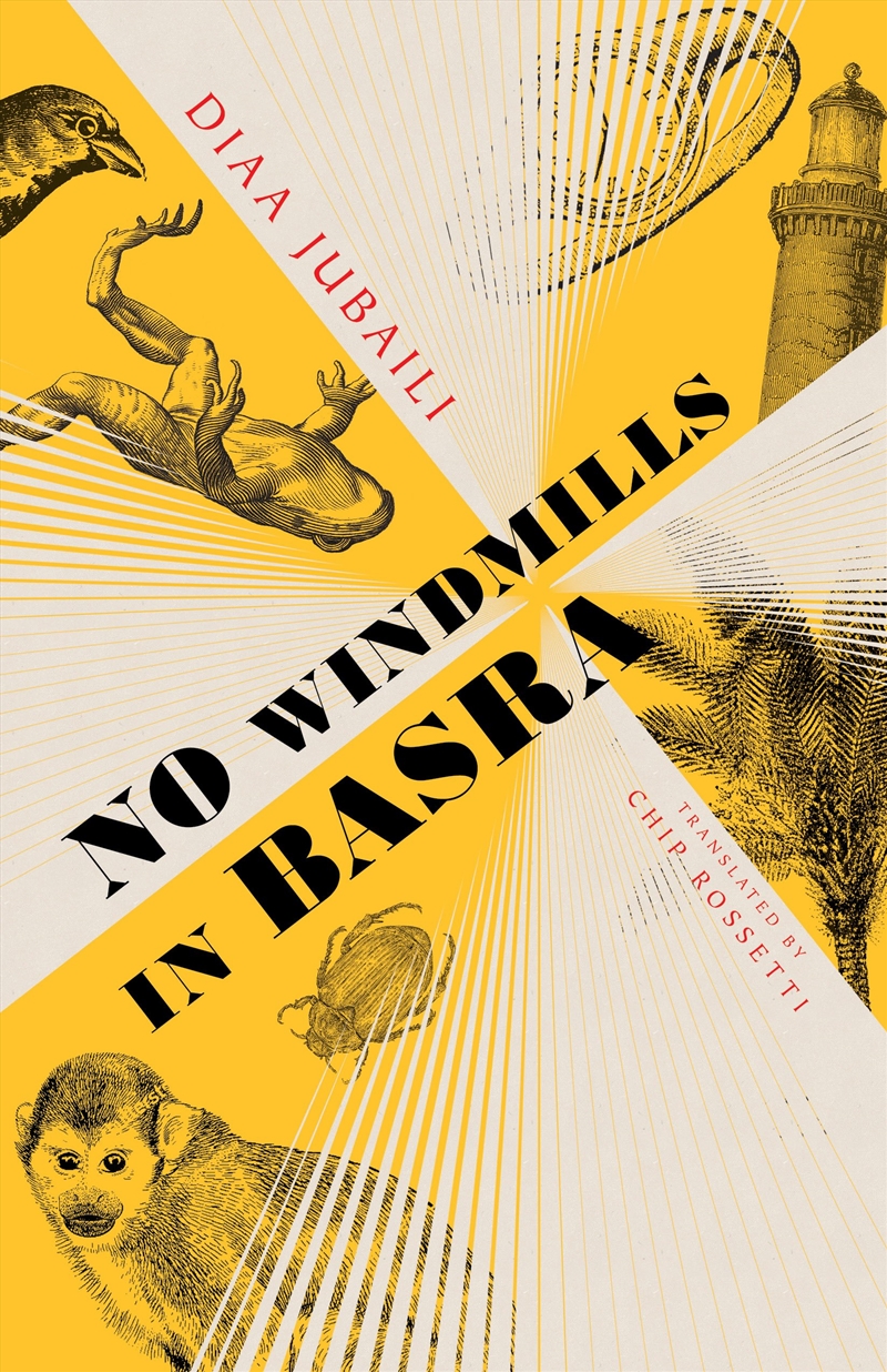 No Windmills in Basra/Product Detail/General Fiction Books