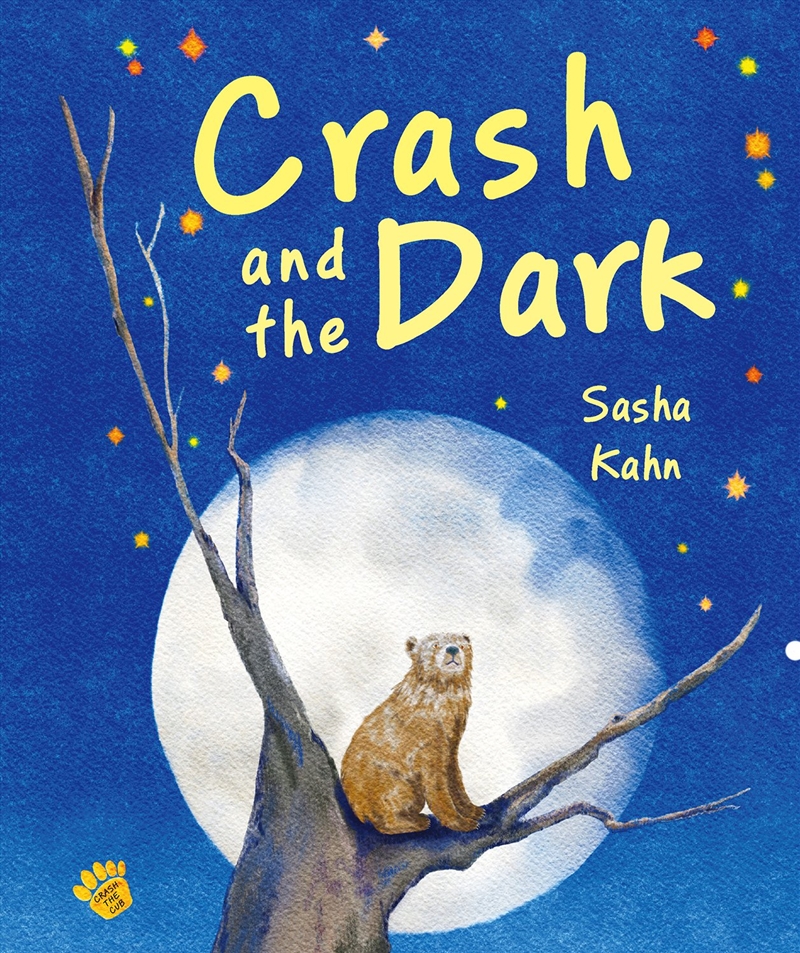 Crash and the Dark/Product Detail/Childrens Fiction Books