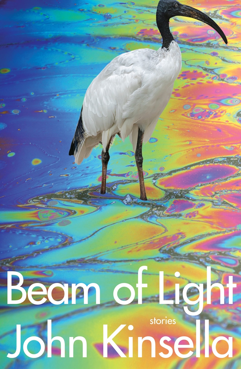 Beam of Light/Product Detail/General Fiction Books