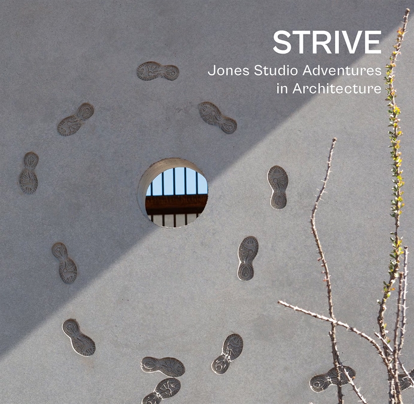 STRIVE/Product Detail/Architecture
