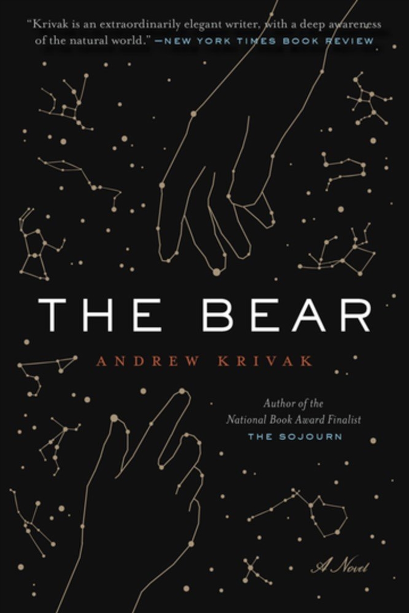 The Bear/Product Detail/General Fiction Books