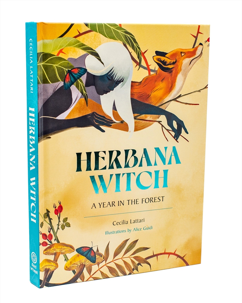 Herbana Witch/Product Detail/Religion & Beliefs