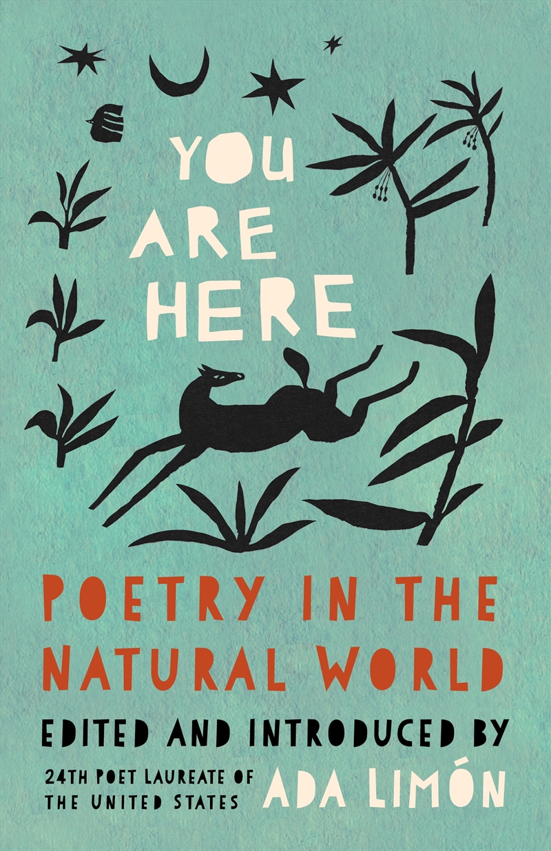 You Are Here/Product Detail/Reading
