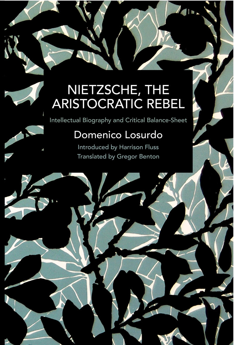 Nietzsche, the Aristocratic Rebel/Product Detail/Reading
