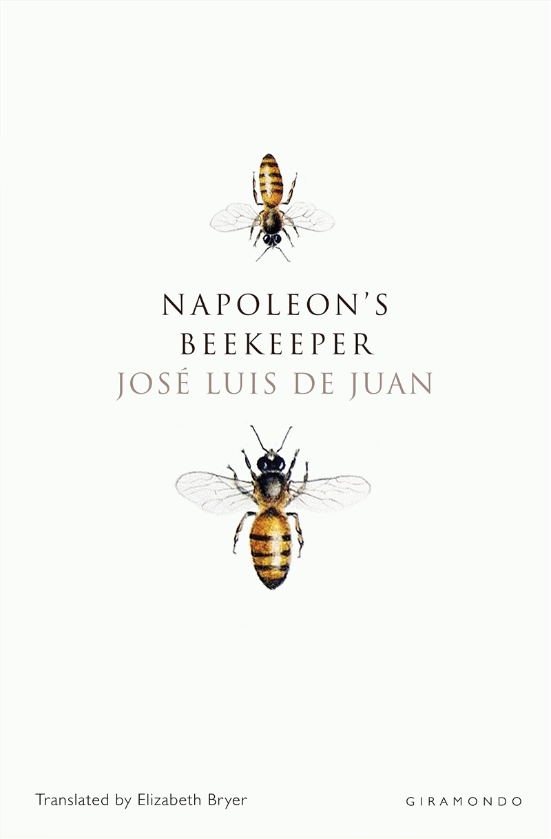 Napoleon's Beekeeper/Product Detail/Modern & Contemporary