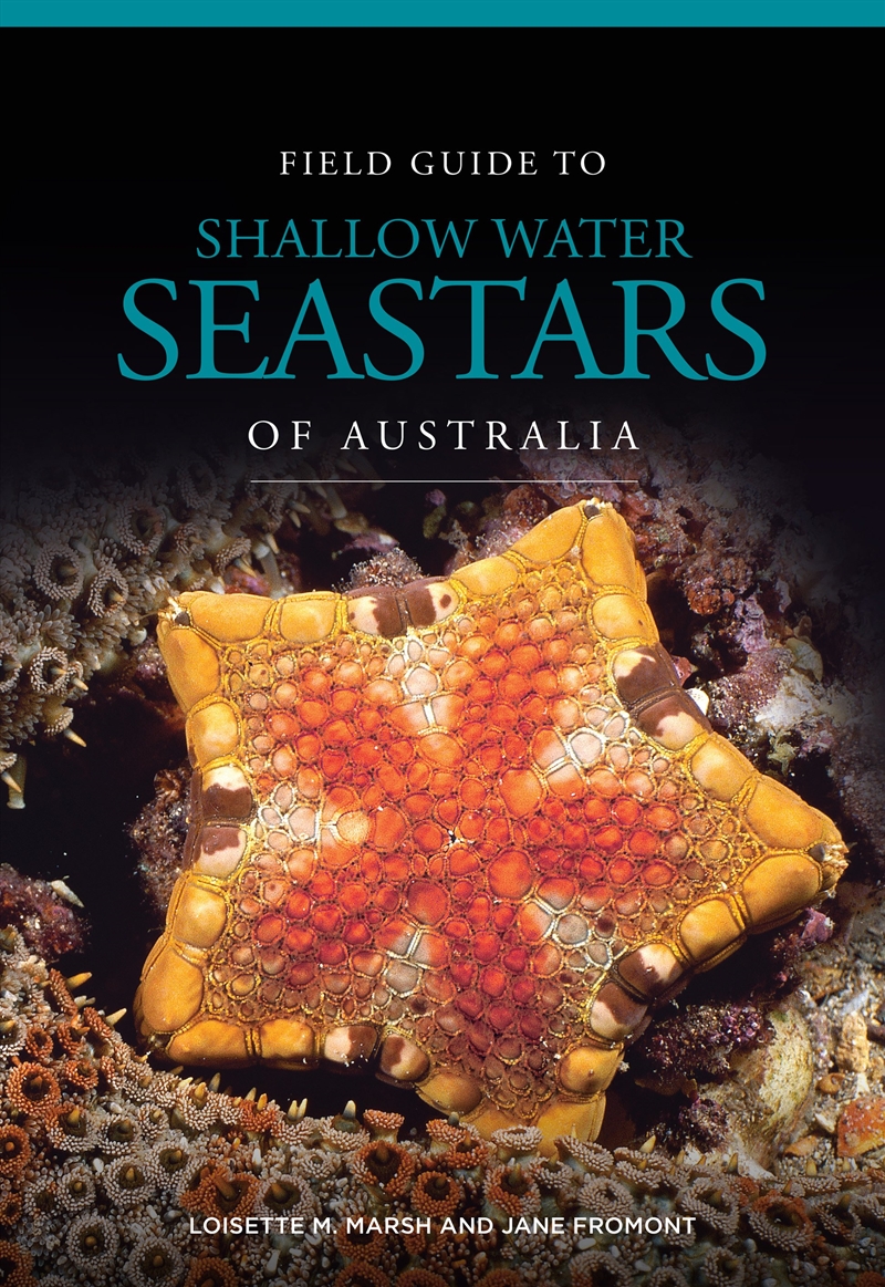 Field Guide to Shallow Water Seastars of Australia/Product Detail/Science