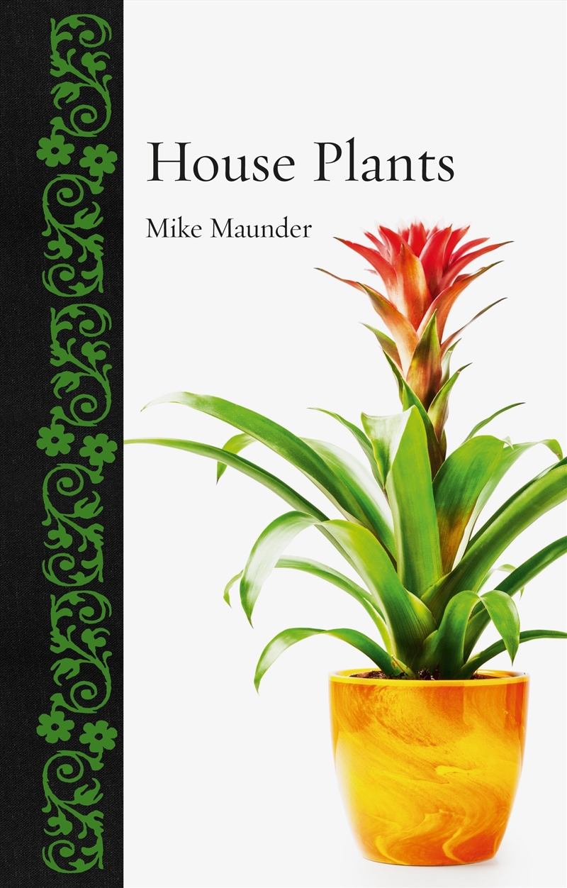 House Plants/Product Detail/Gardening