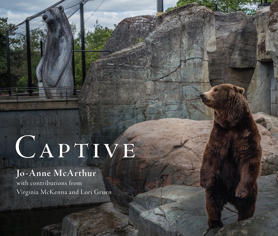 Captive/Product Detail/Art