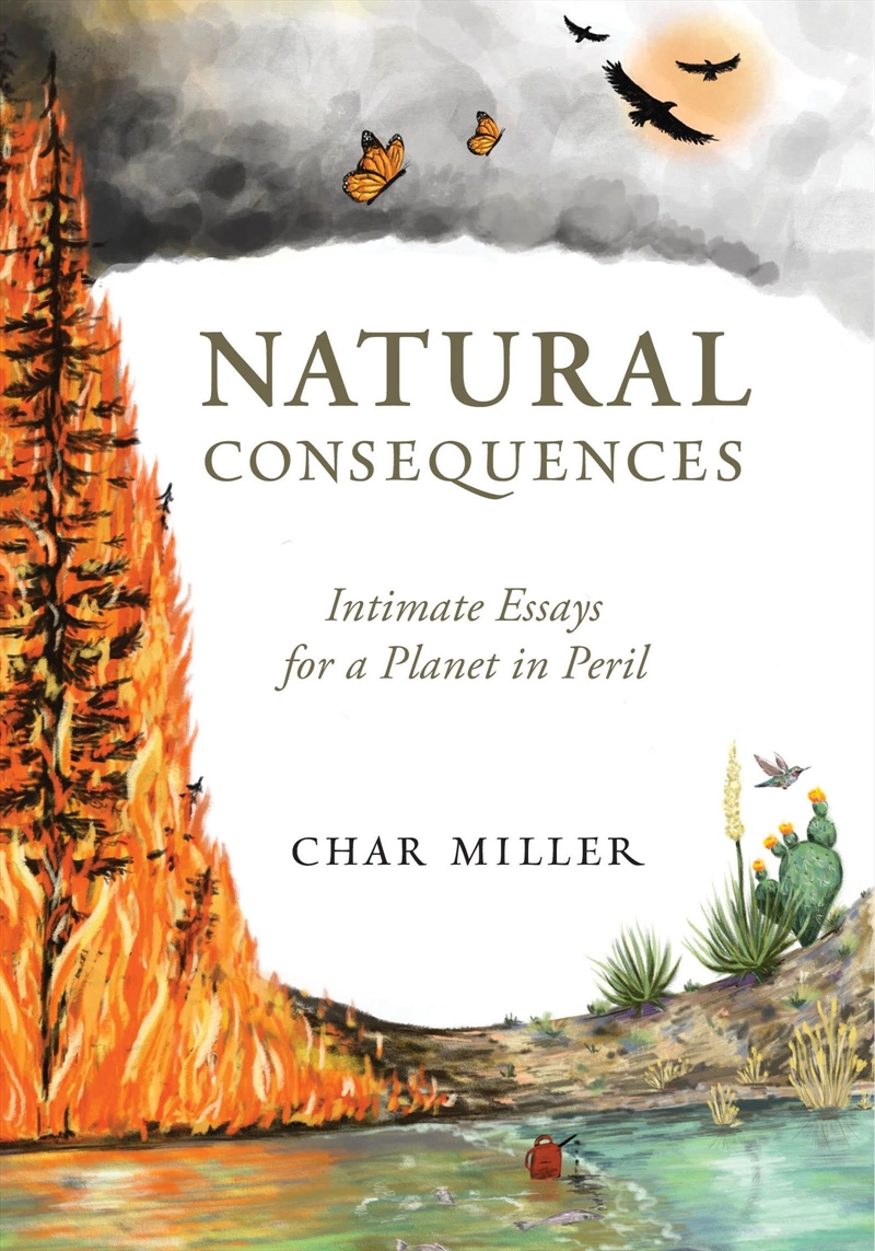 Natural Consequences/Product Detail/Society & Culture
