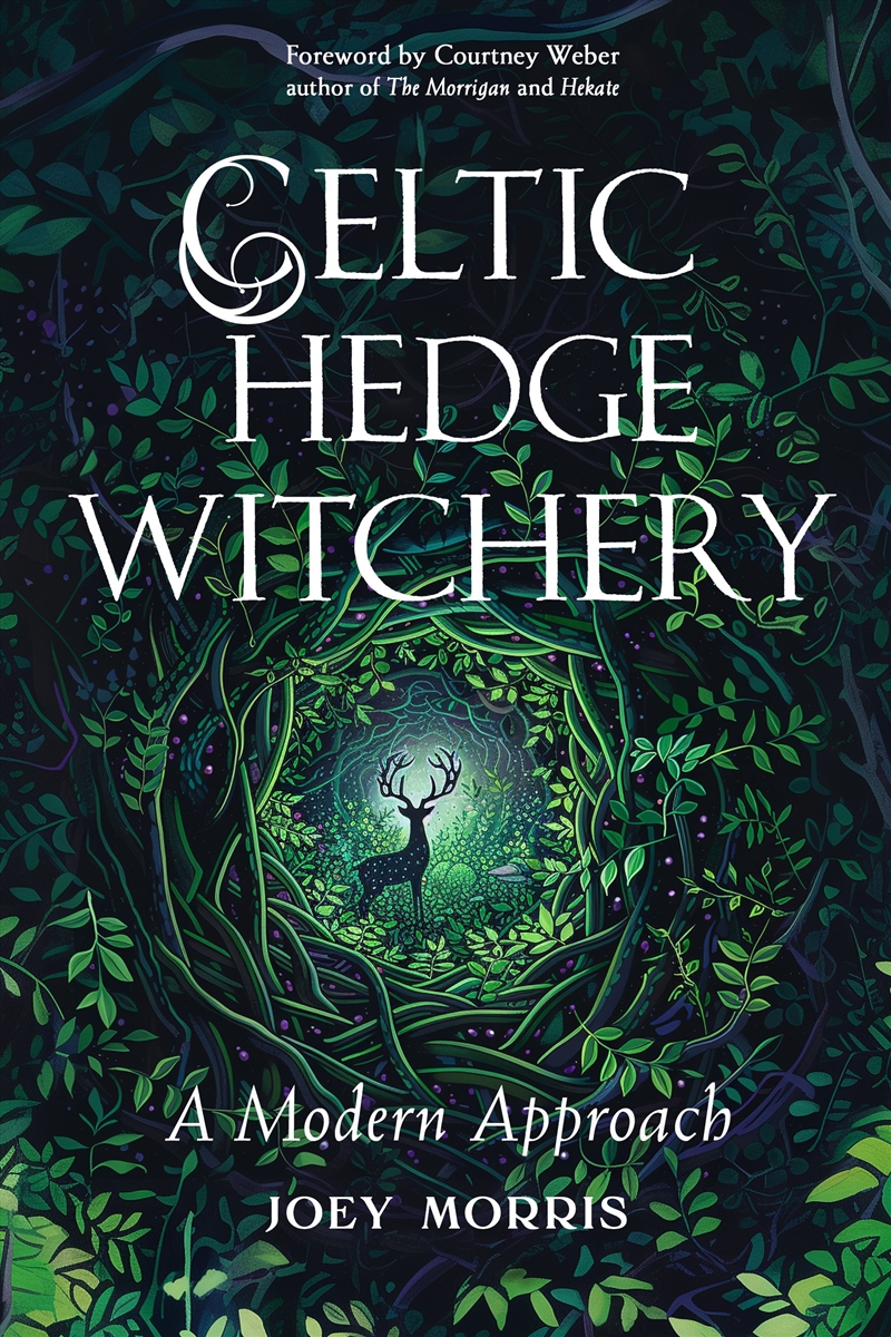 Celtic Hedge Witchery-A Modern Approach/Product Detail/Religion & Beliefs