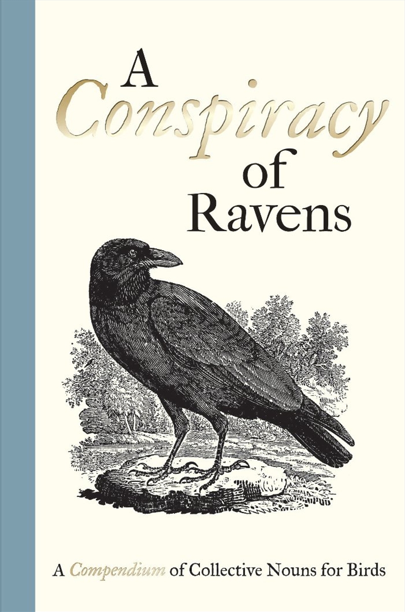 A Conspiracy of Ravens/Product Detail/Language & Linguistics