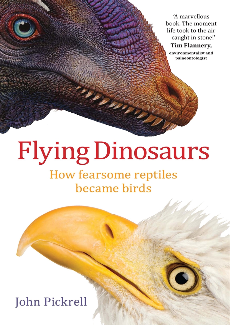 Flying Dinosaurs/Product Detail/Animals & Nature