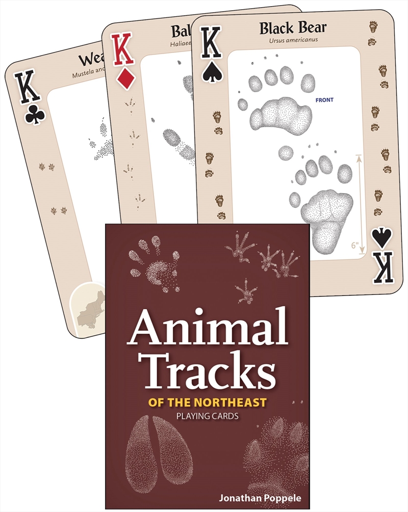 Animal Tracks of the Northeast Playing Cards/Product Detail/Animals & Nature
