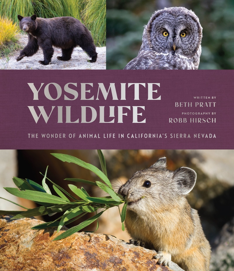 Yosemite Wildlife/Product Detail/Animals & Nature