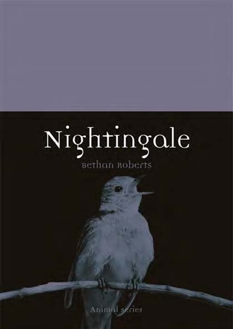 Nightingale/Product Detail/Animals & Nature