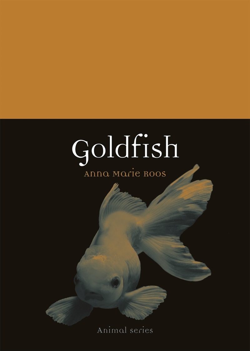 Goldfish/Product Detail/Animals & Nature