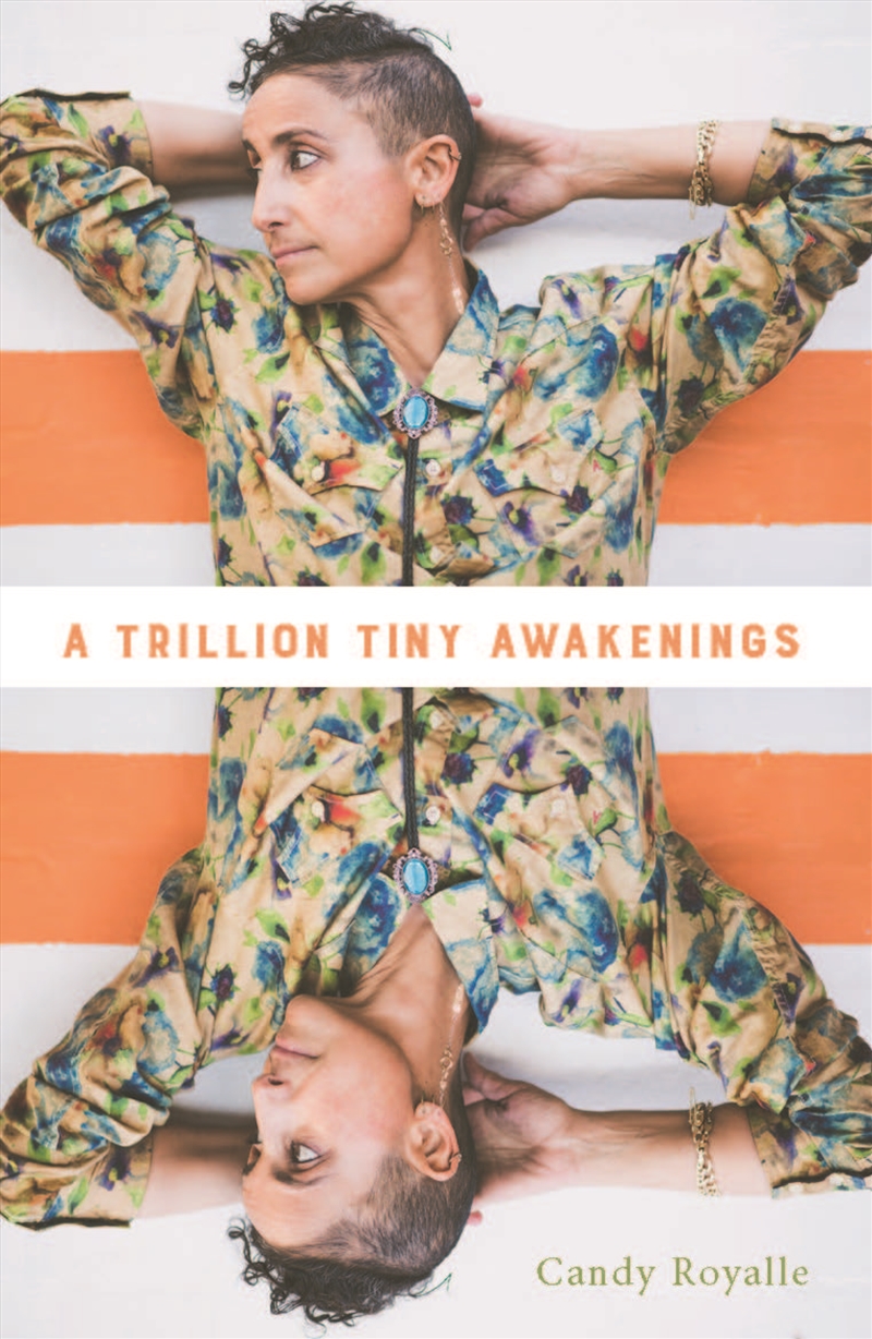 A Trillion Tiny Awakenings/Product Detail/Reading