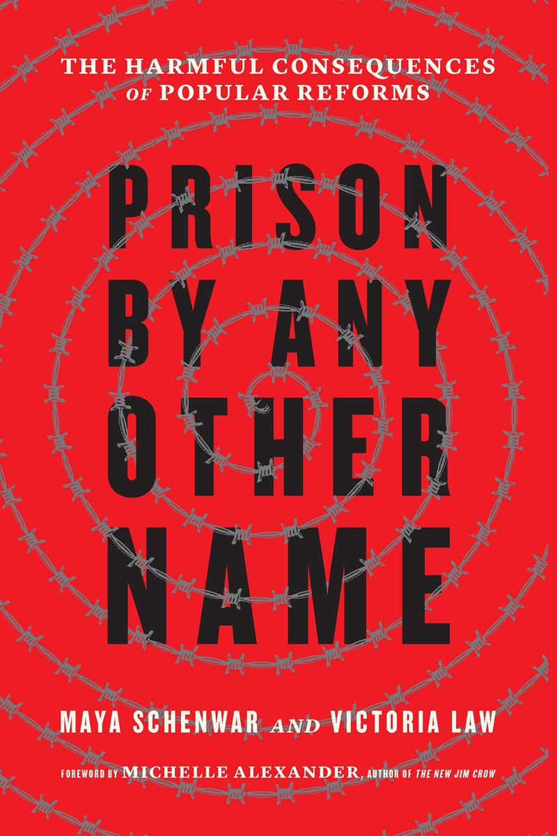 Prison by Any Other Name/Product Detail/Politics & Government