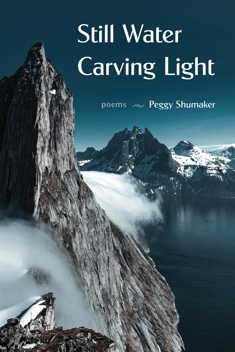 Still Water Carving Light/Product Detail/Reading