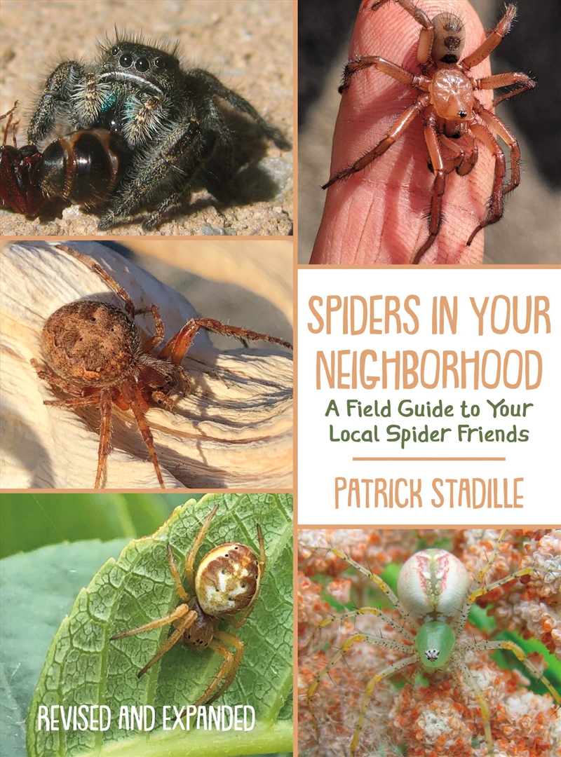 Spiders in Your Neighborhood/Product Detail/Reference & Encylopaedias
