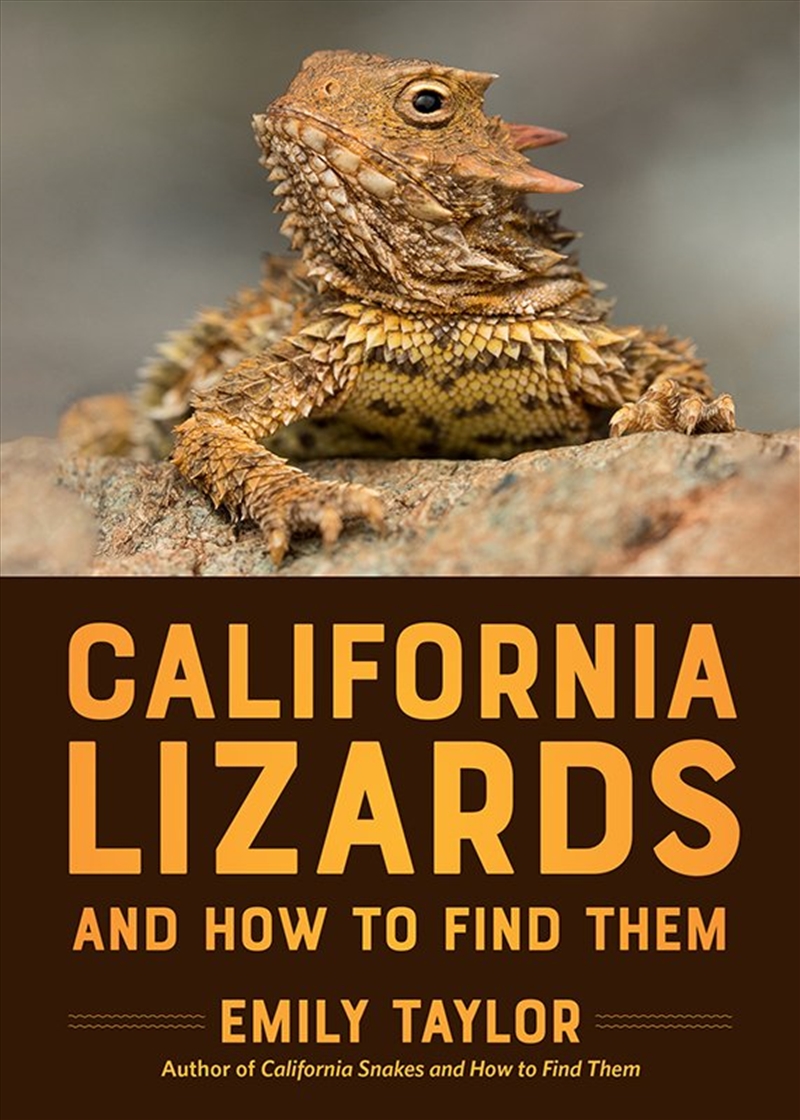 California Lizards And How To Find Them/Product Detail/Reference & Encylopaedias