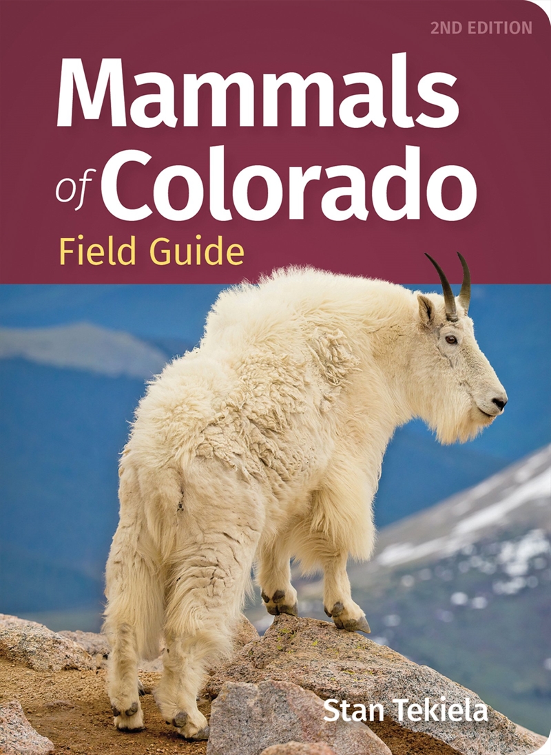 Mammals Of Colorado Field Guide/Product Detail/Animals & Nature