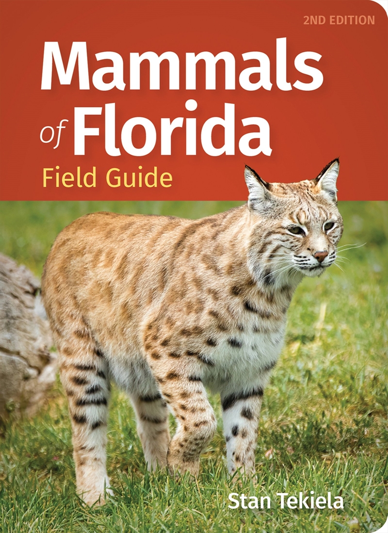 Mammals Of Florida Field Guide/Product Detail/Animals & Nature