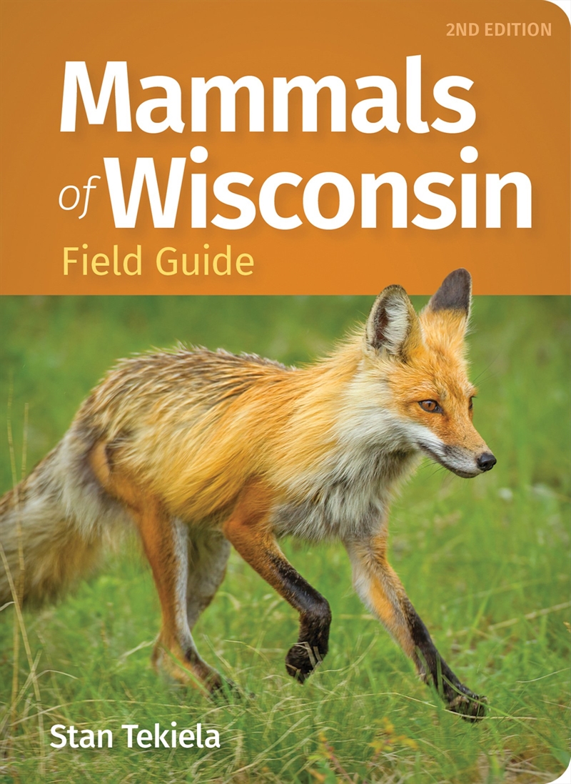 Mammals Of Wisconsin Field Guide/Product Detail/Animals & Nature