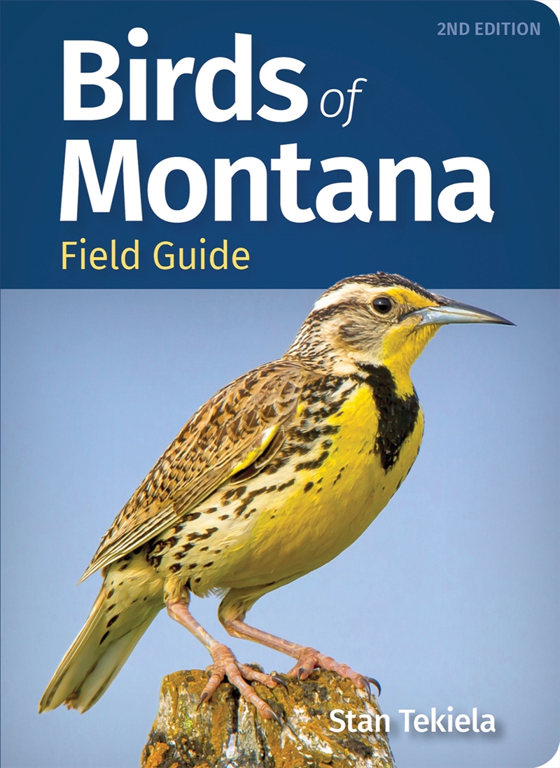 Birds of Montana Field Guide/Product Detail/Sport & Recreation