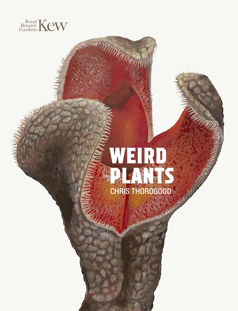 Weird Plants/Product Detail/Animals & Nature