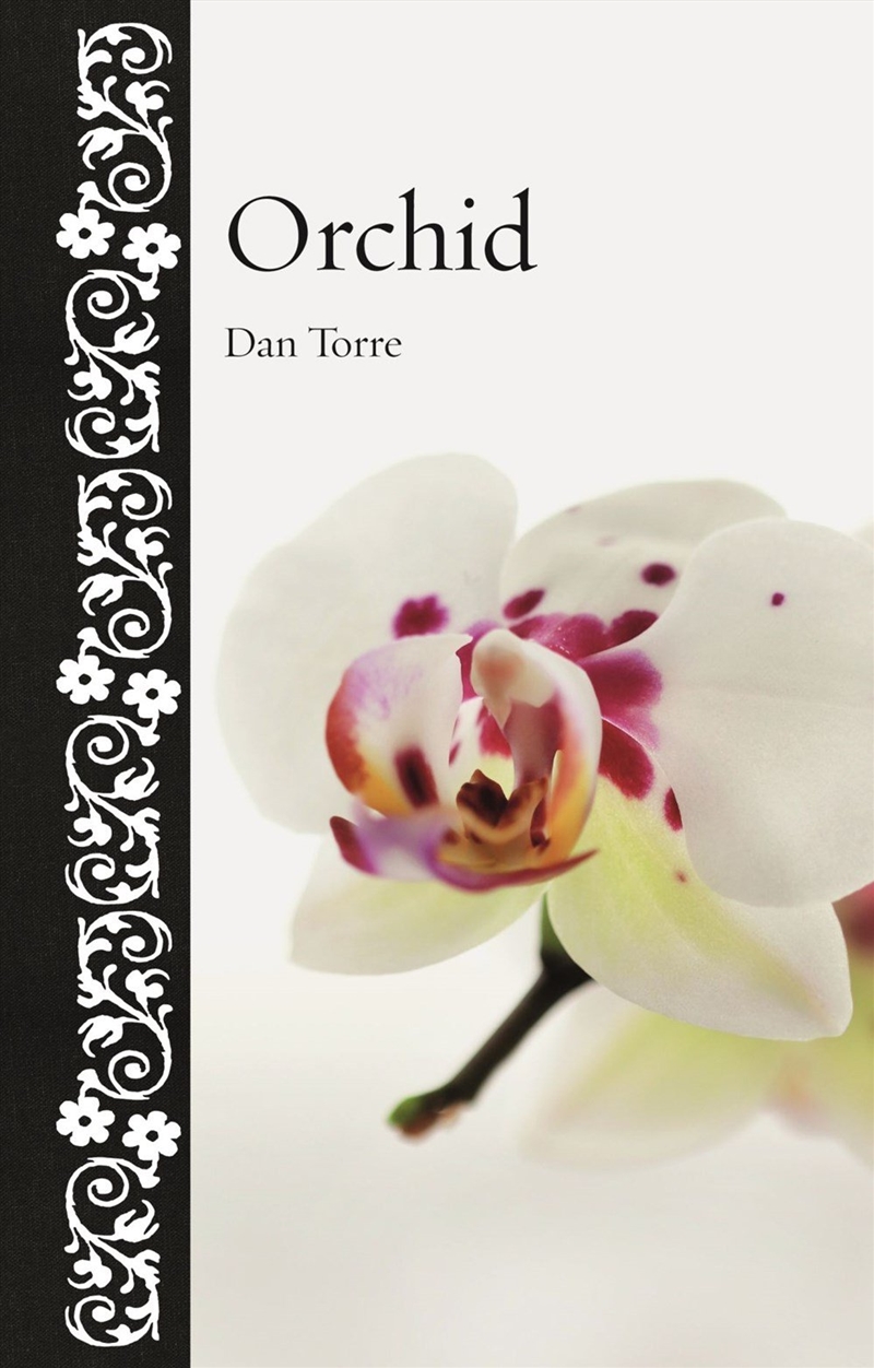 Orchid/Product Detail/Animals & Nature