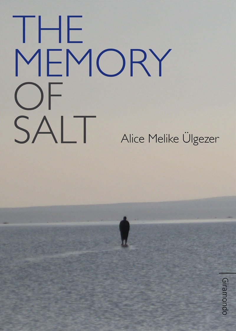The Memory of Salt/Product Detail/General Fiction Books