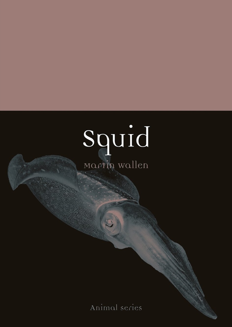 Squid/Product Detail/Animals & Nature