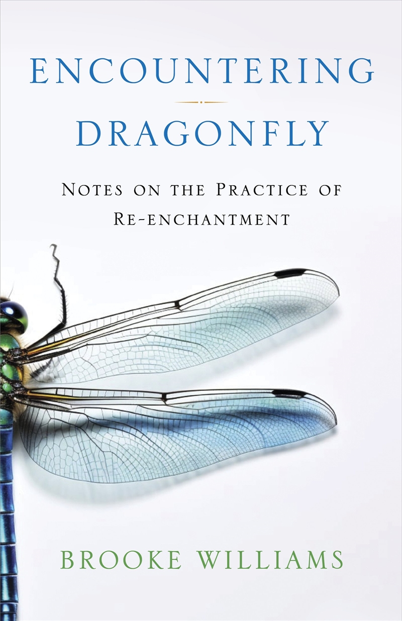 Encountering Dragonfly/Product Detail/Animals & Nature