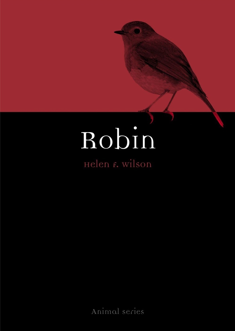 Robin/Product Detail/Animals & Nature