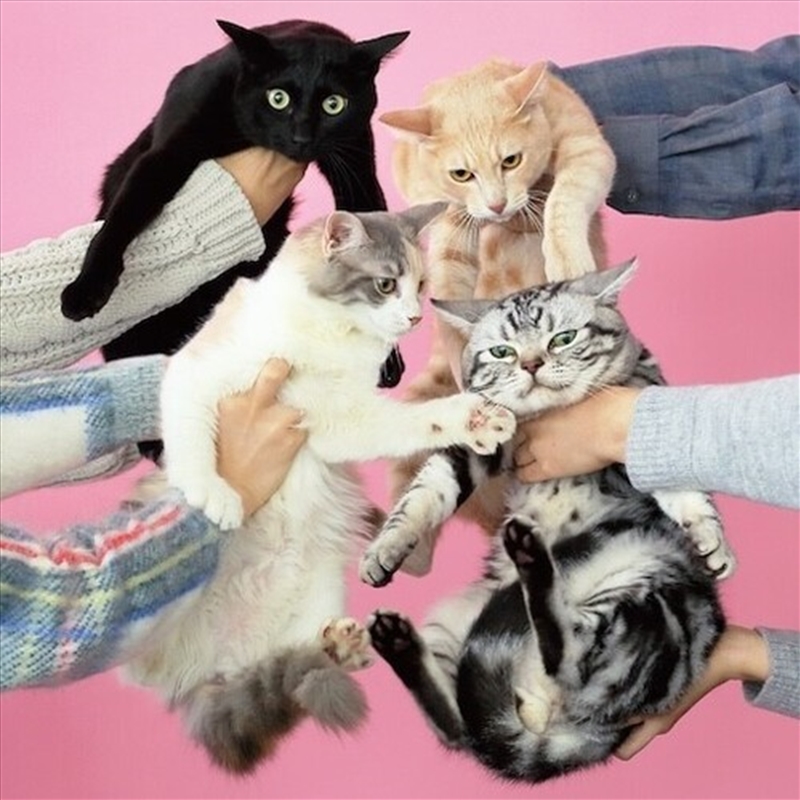 Neko To Allergy/Product Detail/Rock/Pop