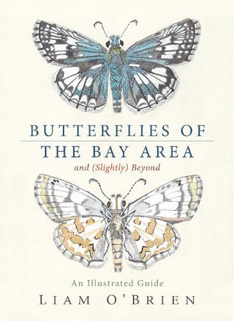Butterflies of the Bay Area and :Slightly Beyond/Product Detail/Animals & Nature