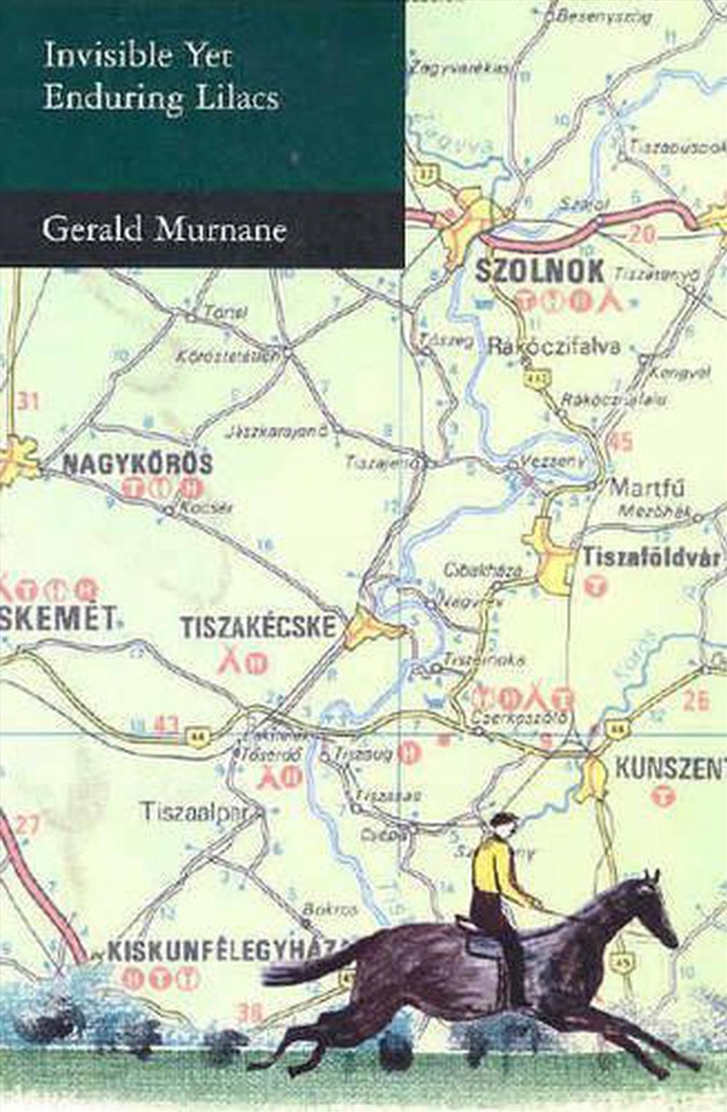 Invisible Yet Enduring Lilacs/Product Detail/Literature & Poetry