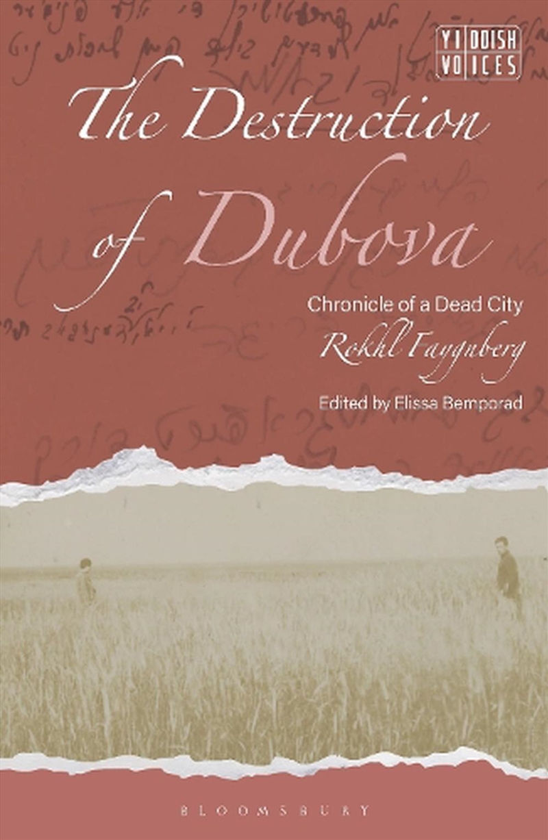 The Destruction Of The Dubova Shtetl: Chronicle Of A Dead City/Product Detail/Society & Culture