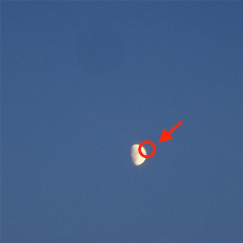 Fake Moon/Product Detail/Rock/Pop